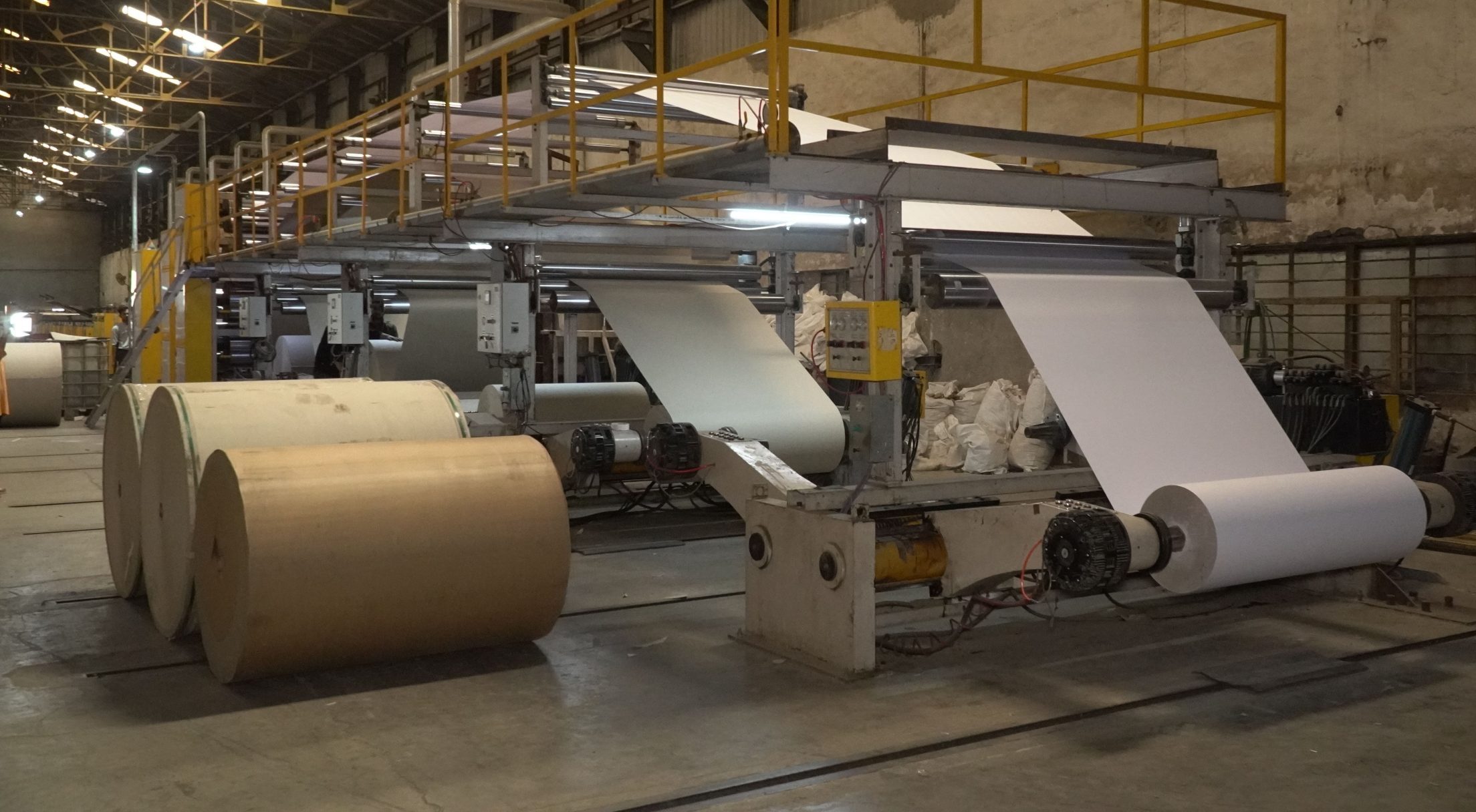 Paper Plant